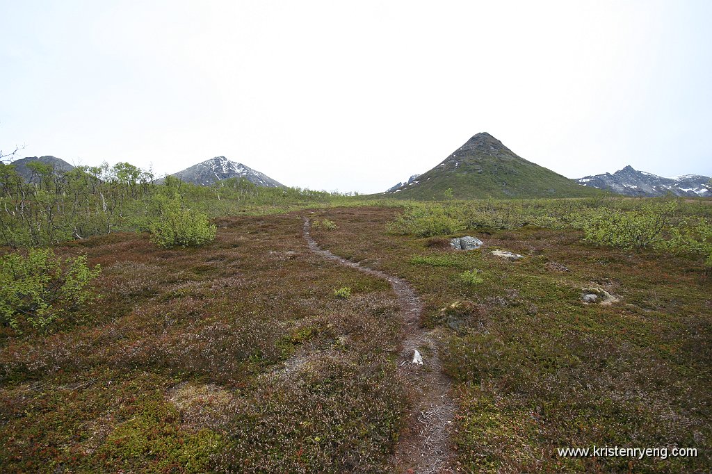IMG_0003.JPG - Stien opp mot Vasstrandmyran. Til høyre ses Stappen (570 moh).
