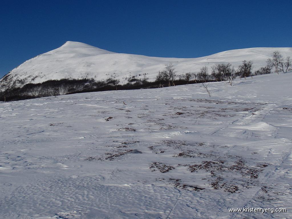P3060013.JPG - Partier som var avblåst på vei opp, men stort sett var det fin snø hele veien. På motsatt side av fjellet er det VELDIG lite snø.