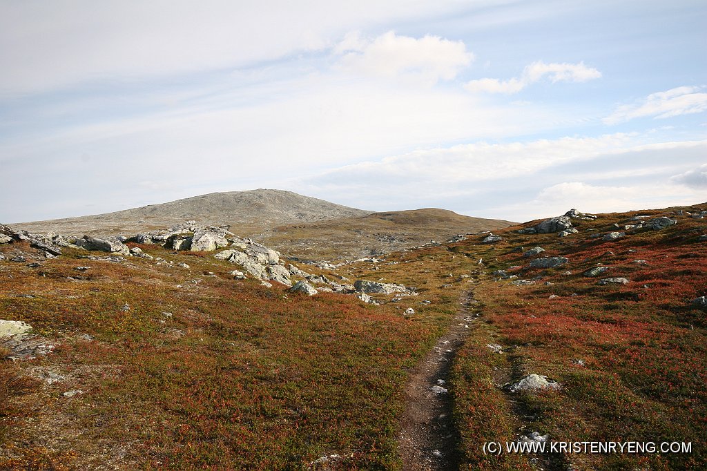 IMG_0404.JPG - Skarsfjellet ses bakerst. Stien går mot Skarvassbu, så etter en stund må denne forlates.