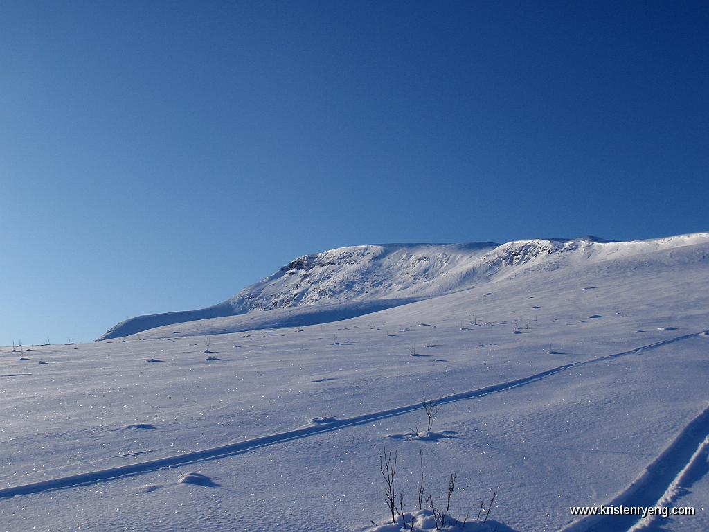 P2200121.JPG - Snart oppe på ryggen mot Stormheimfjellet. Toppen ligger et stykke lengre bak i bildet.