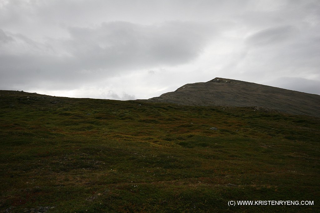 IMG_0377.JPG - Bak Botnfjellet ses den videre trase opp langs ryggen mot Ololsatinden og Steinfjellet.